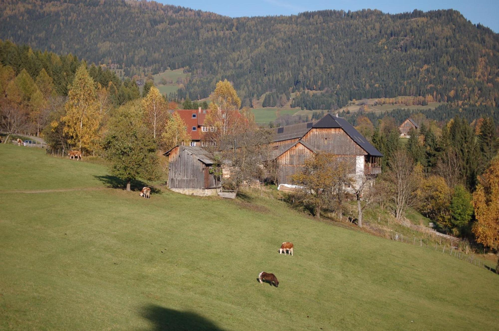 Arriach Walcherhof מראה חיצוני תמונה